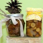 Séminaire de naturopathie : le colon irritable.