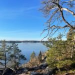 Pique-nique brunch forestier en famille