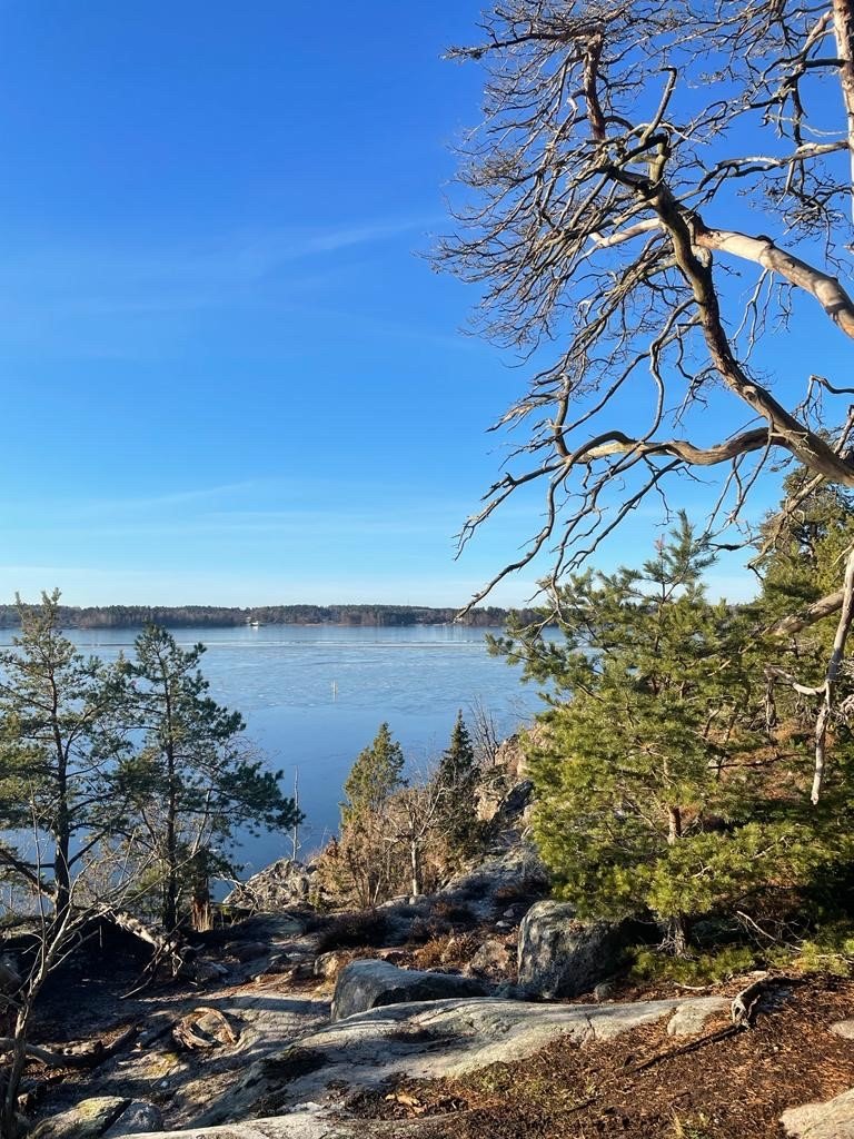 Pique-nique brunch forestier en famille