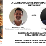 A la découverte des champignons médicaux - Les bienfaits des champignons organiques vitaux / CONFÉRENCE REPORTÉE