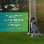 Concours photo - A la recherche du lapin de Pâques
