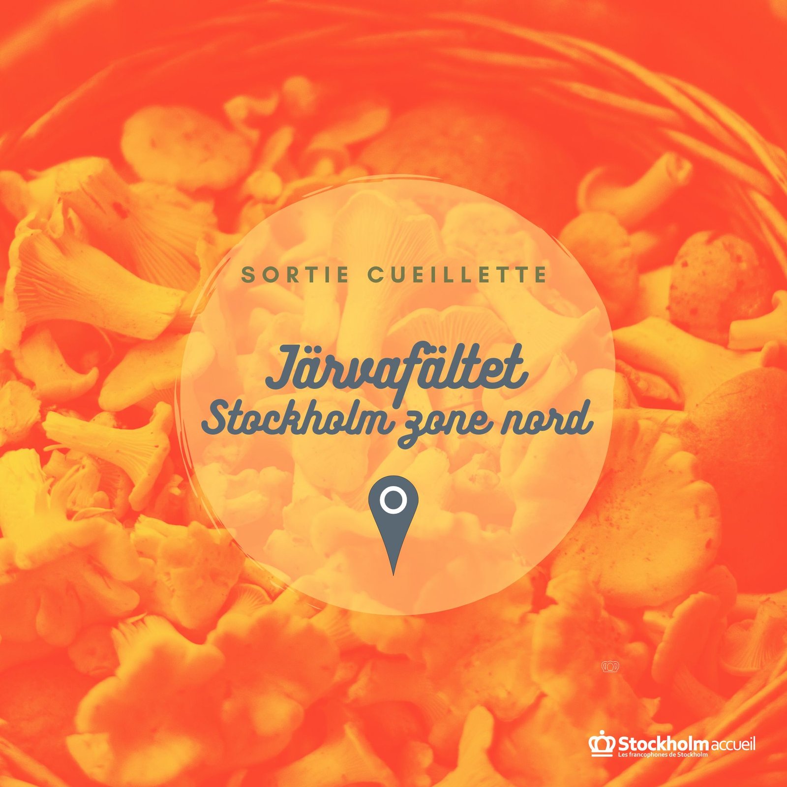 Sortie cueillette d'automne