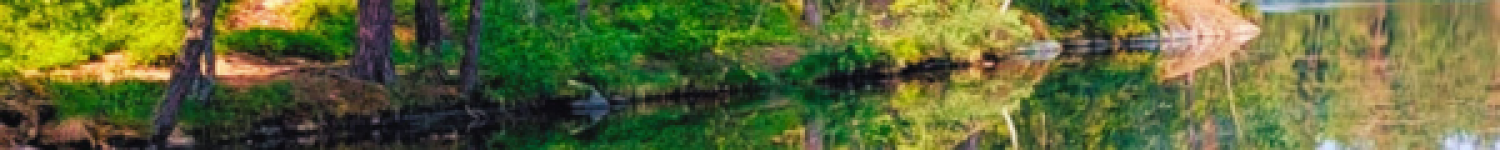 Bannière site SA
